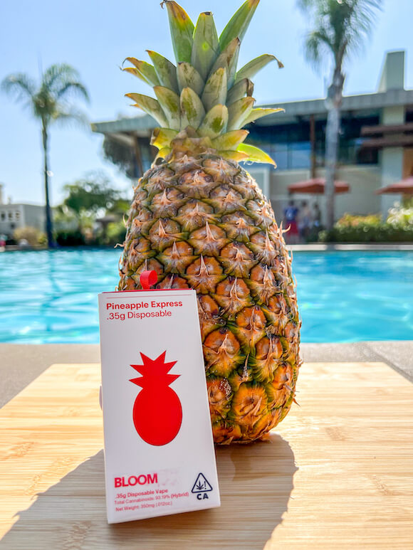 Bloom Pineapple Express Disposable Vape Bloom Pineapple Express disposable vape next to a pineapple fruit in front of a pool